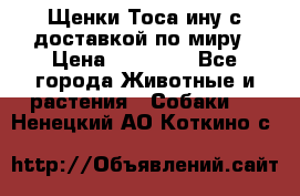 Щенки Тоса-ину с доставкой по миру › Цена ­ 68 000 - Все города Животные и растения » Собаки   . Ненецкий АО,Коткино с.
